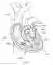Fig. 02 - DEVICES, SYSTEMS, AND METHODS FOR RETAINING A NATIVE HEART VALVE LEAFLET