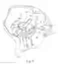 Fig. 08 - DEVICES, SYSTEMS, AND METHODS FOR RETAINING A NATIVE HEART VALVE LEAFLET
