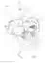 Fig. 10 - DEVICES, SYSTEMS, AND METHODS FOR RETAINING A NATIVE HEART VALVE LEAFLET