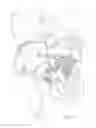 Fig. 11 - DEVICES, SYSTEMS, AND METHODS FOR RETAINING A NATIVE HEART VALVE LEAFLET