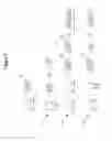 Fig. 10 - Background audio processing