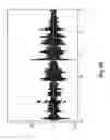 Fig. 13 - Electronic device and copyright protection method of audio data thereof