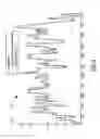 Fig. 06 - Hybrid vehicle and method of control for engine transient mitigation