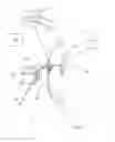 Fig. 01 - ELECTRIC EMISSION WHEEL ASSEMBLY