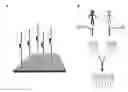Fig. 01 - HARNESSING HIGH THROUGHPUT SEQUENCING FOR MULTIPLEXED SPECIMEN ANALYSIS