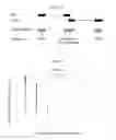 Fig. 11 - Methods and computer software for detecting splice variants