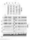 Fig. 09 - System and method for performing downhole stimulation operations