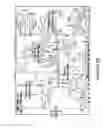 Fig. 08 - Mammalian cell line models and related methods