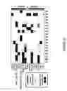 Fig. 32 - Mammalian cell line models and related methods