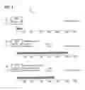 Fig. 04 - Method and System for Analyzing Temporal Flow Characteristics