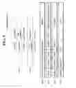 Fig. 06 - Method and an apparatus for processing an audio signal