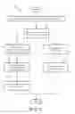 Fig. 06 - Generic method of handling DICOM structured reporting contents