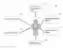 Fig. 01 - PERSONALIZED ATTRACTORS