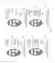 Fig. 03 - Centralized Database Supported Electronic Catalog and Order System for Merchandise Distribution
