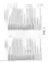 Fig. 06 - SYSTEM AND METHOD OF RESUME INFORMATION VERIFICATION AND CERTIFICATION