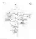 Fig. 03 - Search clustering