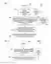 Fig. 04 - Search clustering