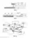 Fig. 05 - METHOD, DEVICE AND SYSTEM FOR PUBLICATION AND ACQUISITION OF CONTENT