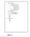 Fig. 02 - Reconstruction of lists in a document