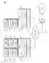 Fig. 02 - PROCESSOR MODE LOCKING