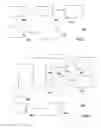 Fig. 02 - Scalable Video Controls Bandwidth Allocation to Data Services