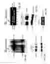 Fig. 04 - HEDGEHOG INHIBITOR ASSAY