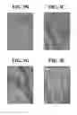 Fig. 06 - GLOBAL NAV1.7 KNOCKOUT MICE AND USES