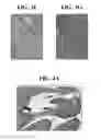 Fig. 07 - GLOBAL NAV1.7 KNOCKOUT MICE AND USES