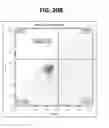Fig. 35 - GLOBAL NAV1.7 KNOCKOUT MICE AND USES