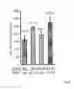 Fig. 09 - GENE REGULATING NUMBER OF PRIMARY PANICLE BRANCHES AND USE THEREOF