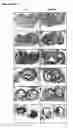 Fig. 46 - Nucleic acid molecules and their use in plant sterility