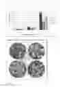 Fig. 06 - METHODS AND COMPOSITIONS FOR STRESS TOLERANCE IN PLANTS