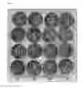 Fig. 37 - METHODS AND COMPOSITIONS FOR STRESS TOLERANCE IN PLANTS