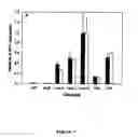 Fig. 02 - ALUMINIUM TOLERANT BARLEY
