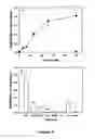 Fig. 05 - ALUMINIUM TOLERANT BARLEY