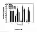 Fig. 06 - ALUMINIUM TOLERANT BARLEY