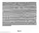 Fig. 14 - ALUMINIUM TOLERANT BARLEY