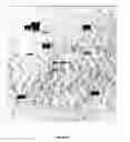 Fig. 24 - ALUMINIUM TOLERANT BARLEY