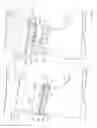 Fig. 05 - SKI PANT GAITER