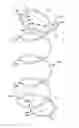 Fig. 01 - Reverse coil head coils and innersprings