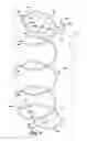 Fig. 02 - Reverse coil head coils and innersprings