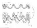 Fig. 01 - Multi-stranded coil spring