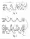 Fig. 06 - Multi-stranded coil spring
