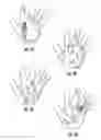 Fig. 02 - Fan Hand