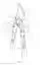 Fig. 02 - Garden shears
