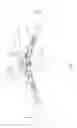 Fig. 06 - Garden shears