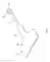 Fig. 07 -  CORD-IDENTIFICATION TAG AND A METHOD FOR ATTACHING AN IDENTIFICATION TAG