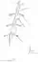 Fig. 03 - DEVICE FOR FITTING AN EXPANSION JOINT, IN PARTICULAR AN EXPANSION JOINT BETWEEN CONCRETE SLABS