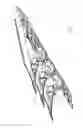 Fig. 02 - Curved profile seed pans