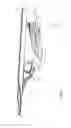 Fig. 06 - Curved profile seed pans